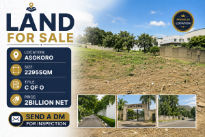 Land for sale Asokoro Abuja