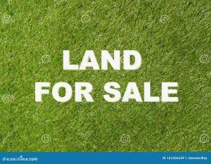 Land for sale Aladura Estate Anthony Village Maryland Lagos