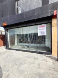 2 bedroom Commercial Property for rent Awolowo Road Ikoyi Lagos