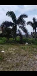Land for sale Zone A,nicon Town Estate Nicon Town Lekki Lagos