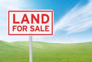 Land for sale Buene Vista Orchid Lekki Lagos