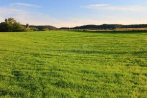 Land for sale Newtown Olaleye/iponri/apapa Road Ebute Metta Yaba Lagos