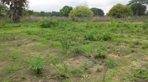 Land for sale Maitama Abuja