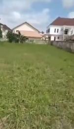 Land for sale Inside Crown Estate Sangotedo Ajah Lagos
