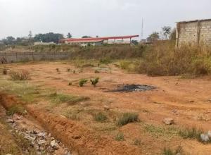 Land for sale Behind Olubadan Stadium, Opposite Okebola Shopping Complex, 7th Day Road, Iyanganku Ibadan Oyo