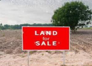 Land for sale Ogunusi Road Ojodu Omole phase 1 Ojodu Lagos