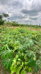 Land for sale Off Funaab, Alabata Abeokuta Ogun