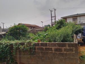 Land for sale Off Ayo Alabi Rd Oke-Ira Ogba Lagos