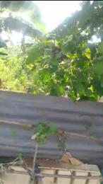 Land for sale Isuti Igando Ikotun/Igando Lagos