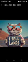 Land for sale Aalamutu Estate, Iju Agege Lagos