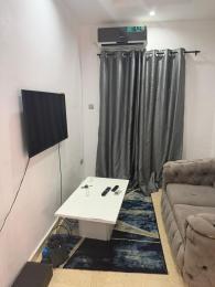 1 bedroom Flat / Apartment for rent Lekki Phase 1 Lekki Lagos