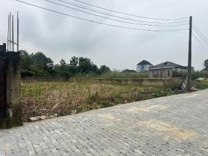 Land for sale Hopeville Estate Sangotedo Sangotedo Lagos
