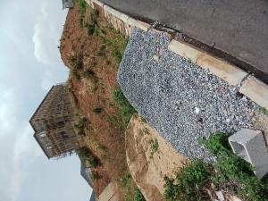 Land for sale Navy Town Estate Asokoro Diplomatic Zone Abuja Asokoro Abuja