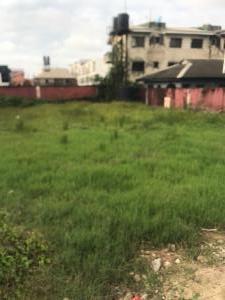 Land for sale Ologolo Ologolo Lekki Lagos