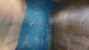 1 bedroom Flat / Apartment for rent Ilaje Bariga Bariga Shomolu Lagos