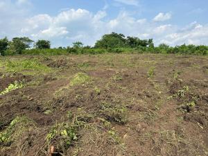 Land for sale Ara's Court Estate Located In Lagbin Ido Ologuneru Ibadan Oyo State Eleyele Ibadan Oyo