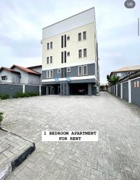 1 bedroom Flat / Apartment for rent Igbo-efon Lekki Lagos