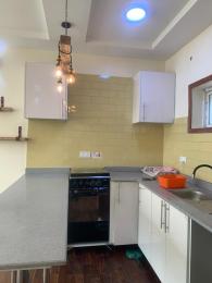 1 bedroom Flat / Apartment for rent Ikate Lekki Lagos