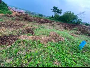 Land for sale Olorunda Akobo Ibadan Akobo Ibadan Oyo