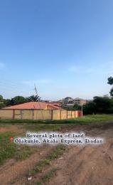 Land for sale Elere, Olakunle Traffic Light, Akala Express Ibadan Oyo