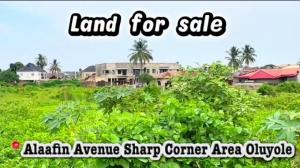 Land for sale Alaafin Avenue Sharp Corner Oluyole Estate Oluyole Estate Ibadan Oyo