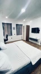 6 bedroom Flat / Apartment for rent Lekki Conservation Centre Lekki Lagos