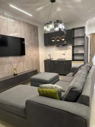 1 bedroom Flat / Apartment for rent Lekki Phase 1 Lekki Lagos