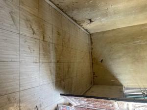 1 bedroom Flat / Apartment for rent Ologolo Lekki Lagos