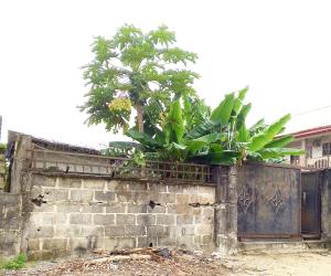 Land for sale Serene And Secure Estate Lakowe Kajola Lagos Lakowe Ajah Lagos