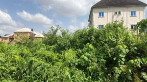 Land for sale Elemu Bus Stop Side Bucknor Isolo Lagos