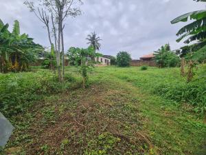 Land for sale Palms Garden Estate, Green Gate Oluyole Estate Ibadan Oyo