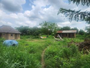 Land for sale Cocacola Off Asegire Ibadan Iwo Rd Ibadan Oyo