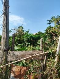 Land for sale Area 1 Liberty Academy Road Off Akala Express Ibadan Akala Express Ibadan Oyo