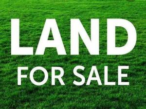 Land for sale In A Lovely Neighborhood At Punch Estate Behind Local Airport Off Ikeja Along Ikeja Lagos Mangoro Ikeja Lagos
