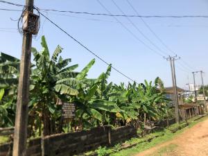 Land for sale Challenge Ibadan Oyo
