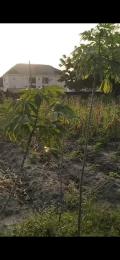 Land for sale Xtadok Badore Ajah Lagos