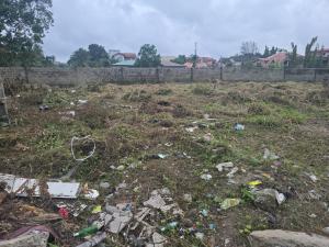 Land for sale Festac Town Amuwo Odofin Lagos