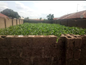 Land for sale Barnawa, Kaduna South Kaduna