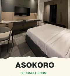 Flat / Apartment for shortlet Asokoro Abuja