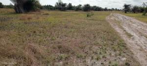 Land for sale Suncity Phase 1 Extension Ode Omi LaCampaigne Tropicana Ibeju-Lekki Lagos