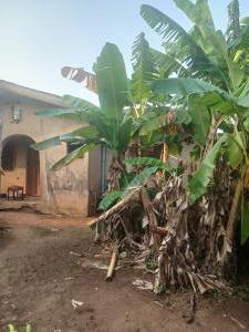 4 bedroom House for sale Igbogila Ayobo Ipaja Lagos