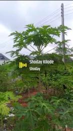 Land for sale Jericho Nihort Idishin Jericho Extension Iletuntun/Jericho extension Ibadan Oyo