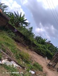 Land for sale Lodi Off Akala Express Ibadan Akala Express Ibadan Oyo