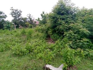 Land for sale Agbale Area Ede North Osun