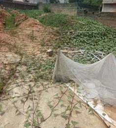 Land for sale River Bank Estate Isheri North Ojodu Lagos
