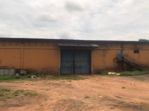 Commercial Property for rent Al Hasan Shopping Complex Podo New Garage Felix Ibadan Podo Ibadan Oyo