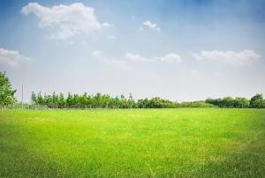Land for sale Amuwo Odofin Amuwo Odofin Lagos
