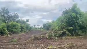 Land for sale Ngor Okpala, Close To Zion Ministry Permanent Site Imo State Owerri Imo