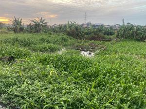 Land for sale Dapson Estate Oke-Ira Ogba Lagos