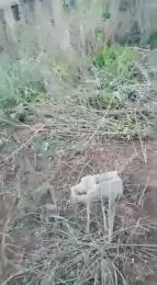 Land for sale Ofada Mowe Arepo Ogun